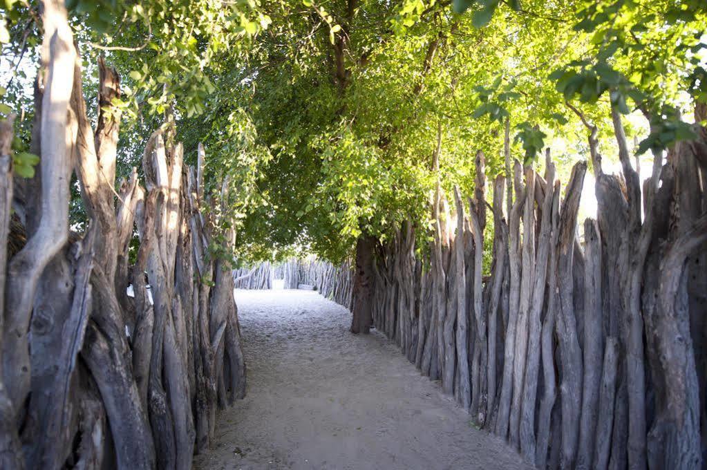 Ongula Village Homestead Lodge Ondangwa Exterior photo
